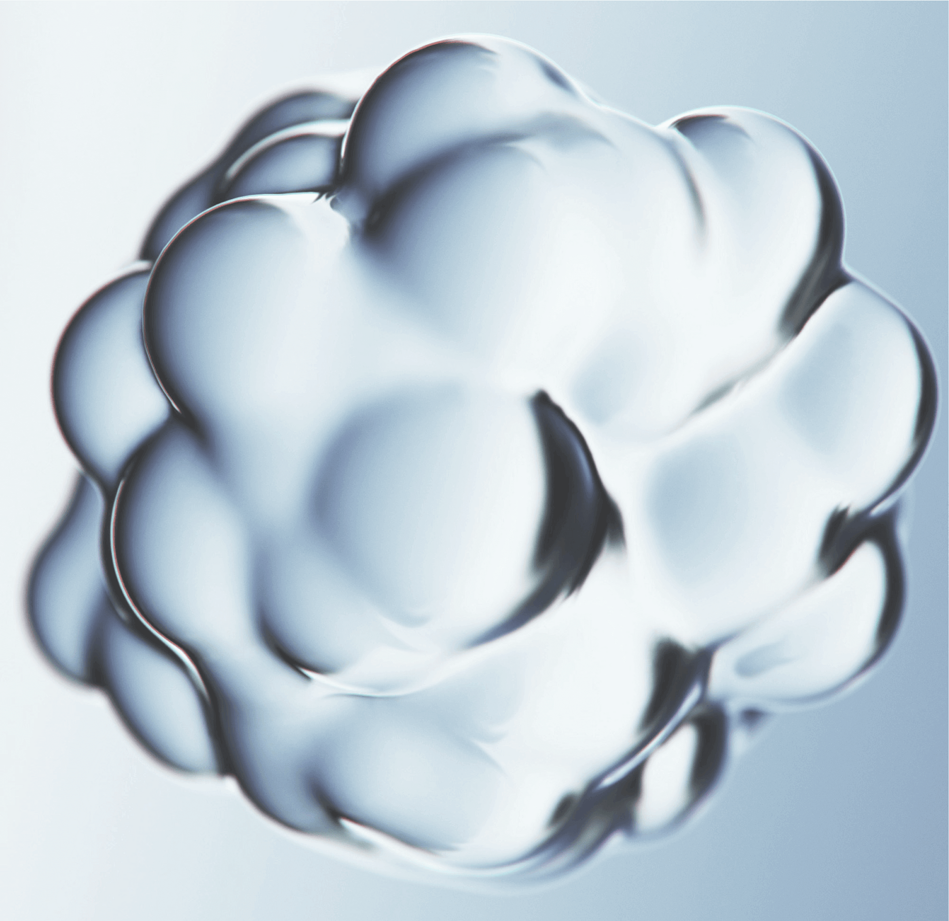 Zutatenliste der NEUROGUARD+ Kapseln für umfassenden Cognitive Support von drnoel.