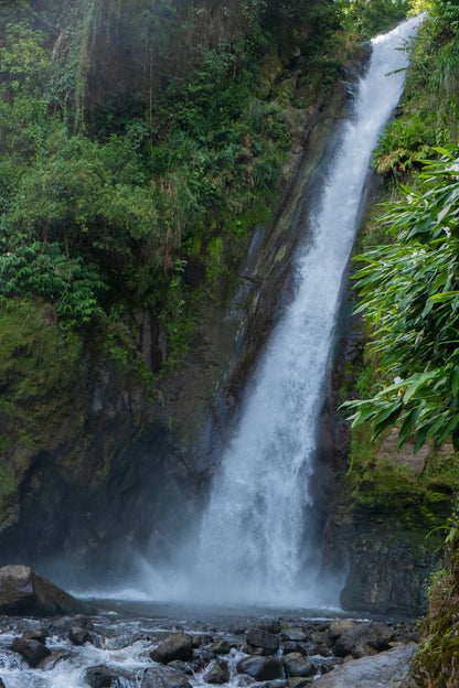 Ein Kunde genießt eine Tasse Centroamericano Anaerobic Kaffee, perfekter Genussmoment.