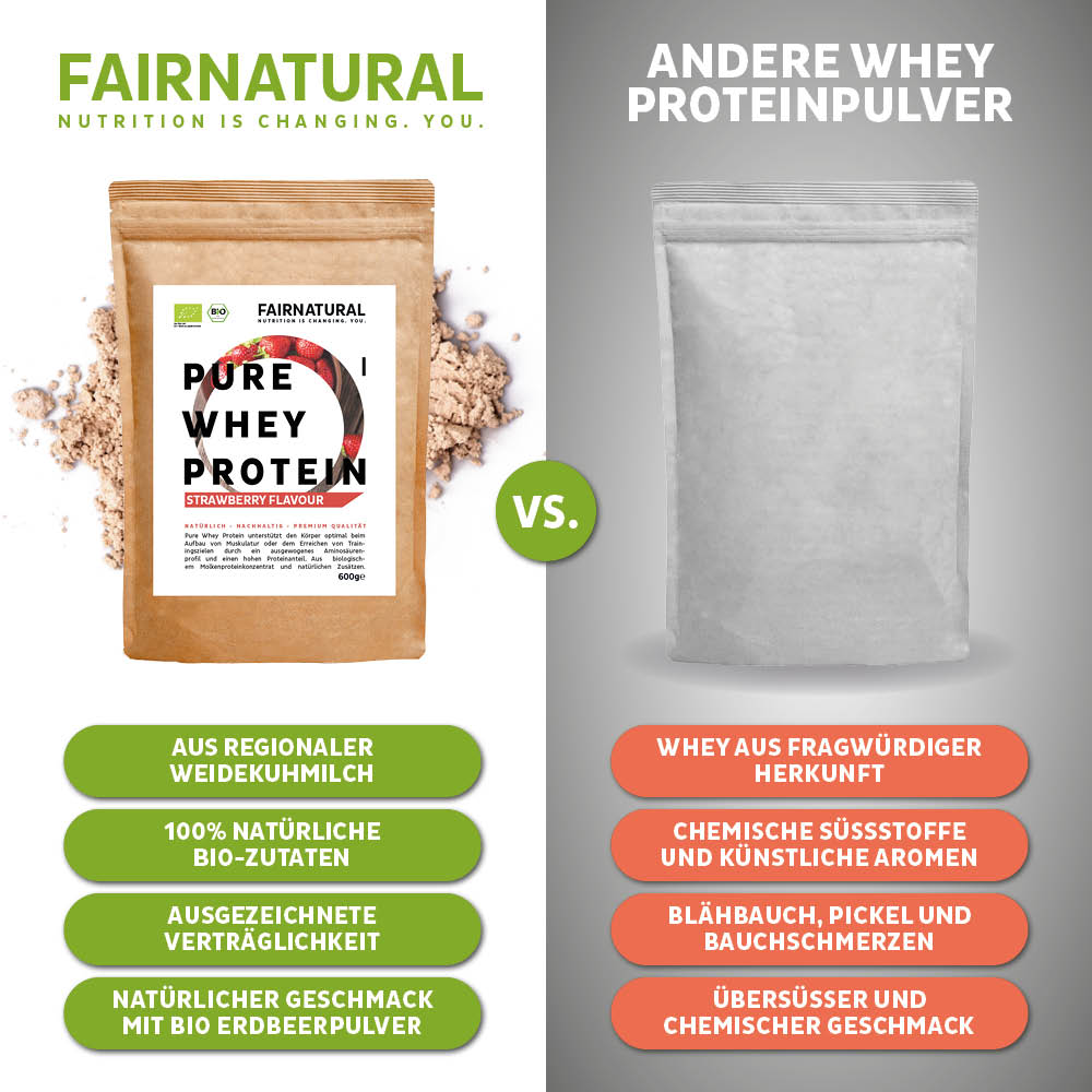Erdbeere Protein Pulver von ekovita in einem Smoothie mit frischen Früchten und Joghurt gemixt